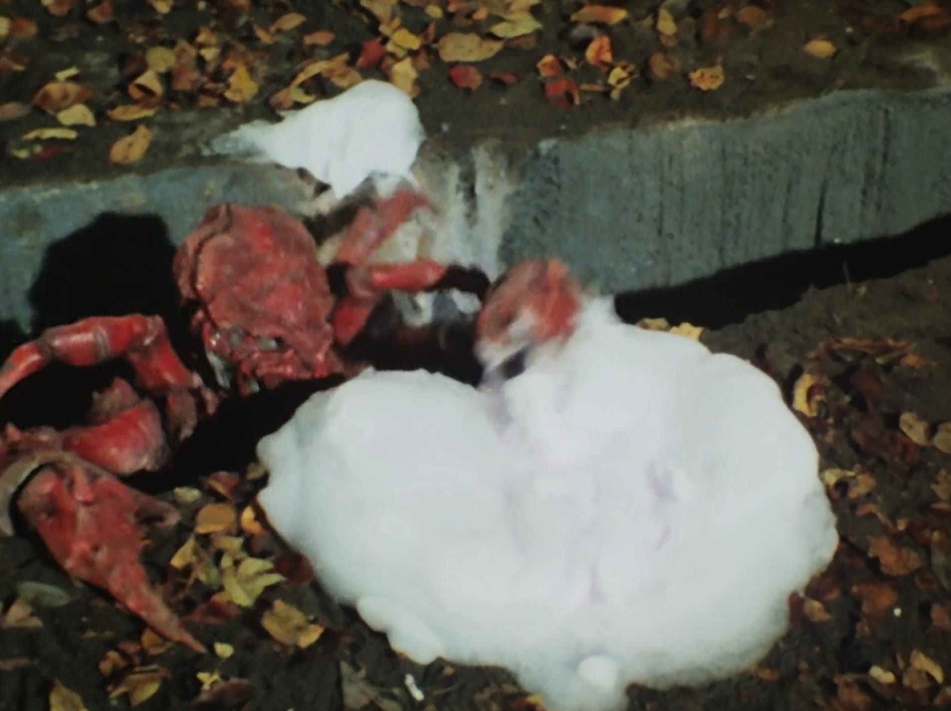 The Dumbest, Weirdest TV Show Episode Ever Made