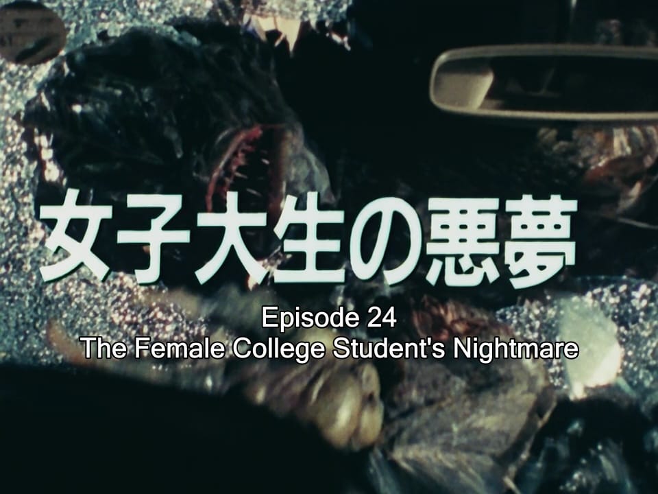 Kamen Rider vs. The League of Evil Morons