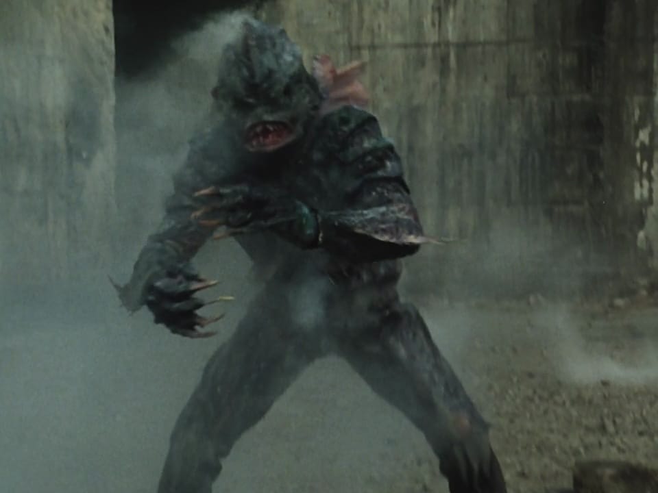 Kamen Rider vs. The League of Evil Morons