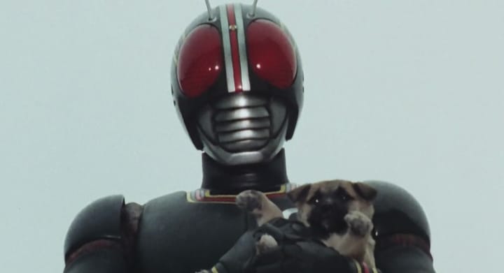 Kamen Rider Black, in his grasshopper-themed armour, stares at the camera while holding a puppy in his arms.